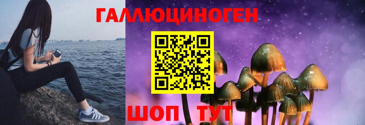Псилоцибиновые грибы Psilocybine cubensis  Вход с VPN  Псилоцибиновые грибы MAGIC MUSHROOMS  Белогорск 